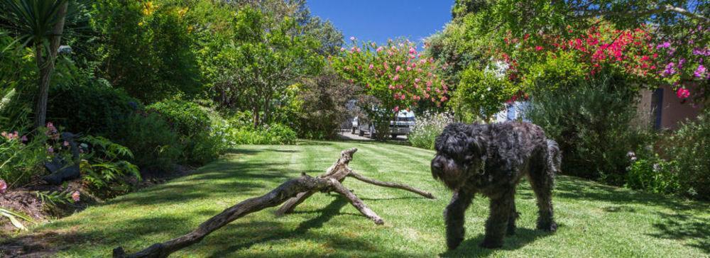 Hotel Cornerway House Plettenberg Bay Exteriér fotografie
